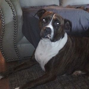 Meet your Posher, Sonya